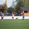 „Ich glaub, ich steh im Wald!“ Das werden sich Spieler des FC Langweid und des VfL Westendorf gedacht haben, als plötzlich ein Reh quer über das Spielfeld hoppelte.	