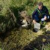 Seit 2011 wird ins Leipheimer Donaumoos mit einer Druckleitung Wasser aus der Nau eingeleitet. Das Foto zeigt Biologe Dr. Ulrich Mäck an einer Auslassstelle.