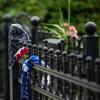 Blumen und ein HSV-Schal hängen vor dem Wohnhaus der verstorbenen HSV-Legende.