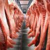 In Großbetrieben sind Schweine oft nicht richtig betäubt, bevor sie geschlachtet werden. Das Fleisch aus ihren Kühlräumen wird meist an mehrere Metzgereien im Umkreis ausgeliefert.