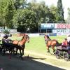 Pferdekutschen auf dem Fußballplatz waren ein ungewöhnlicher Anblick bei den Feierlichkeiten zum 75. Geburtstag der SpVgg Langerringen.