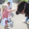 In Karlshuld können Kinder Ponys treffen. 