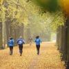 Joggen bei nebelig-trübem Wetter macht Spaß, wenn man richtig gekleidet ist.