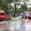 Nach dem Unwetter wird der entwurzelte Baum am Curt-Frenzel-Stadion entfernt. 