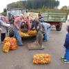 Dieses Foto entstand am letzten Sammeltermin Ende Oktober 2014 in Fischach. Dort wurden heuer die meisten Äpfel – zirka 40 Tonnen – angeliefert. Engagiert an der Waage waren Dieter Mühl und Ludwig Galler, sie haben tonnenweise Äpfel abgewogen. 
