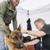 In Ulm hat die Bundessieger-Zuchtschau des Vereins für Deutsche Schäferhunde begonnen. Im Bild: Zuchtrichter Thomas Teubert nimmt Maß an Schäferhund „Costa Tabare Bohemia“, daneben steht Herrchen Marc van Hout. 