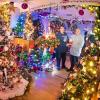 110 Weihnachtsbäume, 130 Lichterketten und 16.000: Susanne und Thomas Jeromin inmitten von Weihnachtsbäumen in ihrem Wohnzimmer in Volksen im niedersächsischen Schaumburg.