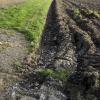 Der weiterhin ungebremste Verbrauch von landwirtschaftlicher Fläche in Bayern wächst sich auch im Landkreis Weilheim-Schongau zu einem Problem für die Bauern aus, so der Bauernverband. 	 	