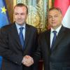 Ein Bild aus vergangenen Zeiten: EVP-Chef Manfred Weber und der ungarische Premier Viktor Orbán Hand in Hand.