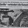 Die Bilder der völlig zerstörten Küche und der Bar in der Donau-Zeitung einen Tag nach dem Großbrand machten das Ausmaß der Zerstörung deutlich. 	