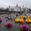 Das 50. Neuburger Donauschwimmen wurde 2019 gefeiert. 