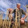 Das 7,8 Hektar große Weizenfeld von Landwirt Alfons Welzenhofer stand am Mittwoch in Flammen. Der Landwirt hofft, für den Schaden zumindest finanziell entschädigt zu werden. 