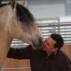 Karlheinz Grundler beim Training mit dem spanischen Hengst Giorgio, der eine Hauptrolle in der Pferde-Show „Christmas on Horse“ spielt, die ab dem 25. Dezember in Nördlingen aufgeführt wird.