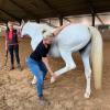 Osteo-Therapeutin Sylvia Basch ist spezialisiert auf Pferde. Sie kümmert sich um das Wohlbefinden der Tiere, so wie hier im Gestüt Brunnenmühle in Dasing um Gloria von Renate Vogl.