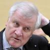 Bayerns Ministerpräsident und CSU-Chef Horst Seehofer wurde nun von Schwulen und Lesben verhöhnt. 