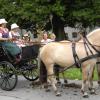 Herrschaftliche Kutschen und prächtige Pferde sind am heutigen Samstag im Schlosshof von Blumenthal (Aichach) zu sehen.