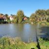 Der Dorfweiher in Mindelzell soll durch ein Projekt "Wiederbelebung Dorfweiher" aufgewertet werden.