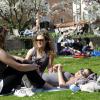 Der Hofgarten ist ein idealer Platz für ein Picknick mitten in der Stadt. (Archivbild)