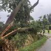 Starker Regen setzte am Donnerstagabend in Wertingen und Roggden Straßen und Keller unter Wasser. Die Feuerwehr war mehrfach im Einsatz.