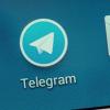 Das Telegram-Logo auf dem Display eines Smartphones: Mitglieder der österreichischen Partei MFG nutzen den Dienst für die Verbreitung ihrer Parolen.