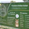 Nur noch dieses Wochenende ist das Maislabyrinth Theodors-Kolben-Acker in Nördlingen geöffnet.
