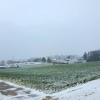 Am Bergfeld entstehen 20 neue Bauplätze in Amerdingen. Das Gebiet liegt am Ortseingang von Aufhausen kommend.