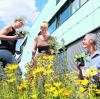Nicolas Liebig vom städtischen Landschaftspflegeverband kümmert sich mit vielen Partnern um Blühwiesen für Insekten in Augsburg. 