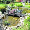 Der Teich, den Marianne Mildner vor 24 Jahren angelegt hat, ist das Prunkstück im Garten. Fische gibt es nicht mehr, weil die immer die Katzen holen. Und auch Pflanzen gibt es nicht mehr so viele, denn dadurch kommen immer so viele Algen. 