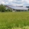 Auf dem Hof im Allgäu sollen Tiere schwer misshandelt worden sein. 