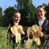 Präsentieren ihre goldenen Schleifen: Mariella Zuber und Hanna Tremel-Wunderle siegten in den vergangenen Wochen mehrfach und überzeugten mit hohen Wertnoten in den Dressurprüfungen.