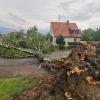 Während der Unwetter wurden einige Bäume entwurzelt. Einige stürzten auf die Straße, so wie diese Birke in Pfuhl.