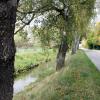 An der Riedstraße soll eine Spundwand neben der Straße (hier rechts im Bild) dem Damm Halt geben. 