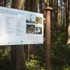Mitten im Höglwald bei Ried befindet sich die Waldklimastation. Sie dokumentiert seit Jahrzehnten sehr anschaulich, wie sich die Umwelteinflüsse auf den Wald auswirken. 	