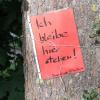 Baumfällungen sind ein emotionales Thema, das viele Augsburger beschäftigt.