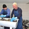 Elmar Stadelmeyer (rechts) und Stefan „Stecki“ Sacha bereiten in einem eigens dafür ausgebauten Gartenhäuschen in Sielenbach die Makrelen vor.