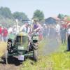 Dass die alten Schlepper auch heute noch alltagstauglich sind, wurde beim Erpftinger Oldtimer-Treffen unter anderem bei der Kartoffelernte vorgeführt. 