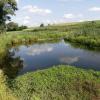 Dieser kleine Teich am Bögelegraben bei Rettenbergen hat ein Biber mit seinem Damm aufgestaut und so ein Biotop geschaffen.