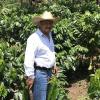 Der Kaffeebauer Jose de Leon steht auf einer Plantage im guatemaltekischen Department San Marcos. Wegen des niedrigen Weltmarktpreises sahen viele Bauern ihre Existenz gefährdet. 