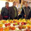 Viele verschiedene Sorten Äpfel konnten die Besucher beim Kirchweihmarkt in Pfuhl bewundern. Hobby-Apfelanbauer Rudolf Erne (rechts) informierte. 	