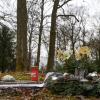 Immer mehr Menschen wünschen sich ihre letzte Ruhestätte unter einem Baum, wie hier im Augsburger Westfriedhof. 