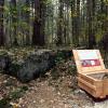 Vor einem Jahr ist der Gedenkweg zum Waldwerk Kuno im Scheppacher Forst eröffnet worden. Informationen zu der Produktionsstätte, in der Zwangsarbeiter für die Nazis schuften mussten, finden sich zum Beispiel auch in Holzkisten. 