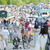 Tausende von Besuchern wird der große Flohmarkt der Kommunalen Abfallwirtschaft am Samstag wieder nach Hofstetten locken. 