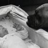 1939: Fritz von Philipp und Boxer Tommy. Hunde begleiteten den Neuburger sein ganzes Leben.
