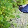 Nummer sicher: Weil sich Schadstoffe im Grundwasser befinden, sollten Brunnenbesitzer im Unteren Illertal beim Gießen Trinkwasser verwenden. 