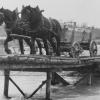 Foto von 1916: Schwere Pferde sind vor das Fuhrwerk gespannt, das Kies aus dem Lech unterhalb des Hochablasses wird abtransportiert. 