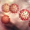 Diese vom Center for Disease Control and Prevention CDC erstellte Illustration zeigt den neuartigen Coronavirus 2019-nCoV. 