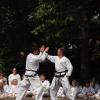 Still wurde es im Friedberger Stadtgarten, als Taekwondo-Dan-Träger Stephan Maurer mit Anna Maier zeigte, wie man sich gegen Angriffe mit dem Messer oder mit der Faust wehren kann.