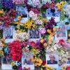 Sie alle verloren ihr Leben bei russischen Angriffen. Die Blumenwand in Lwiw erinnert an sie.