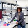 Eine Allround-Schere für die Bearbeitung von Genen - mit Crispr gelangen Emmanuelle Charpentier und Jennifer Doudna ein Durchbruch in der Gentechnik.