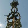 So sah der Maibaum 2006 in Waldstetten aus.